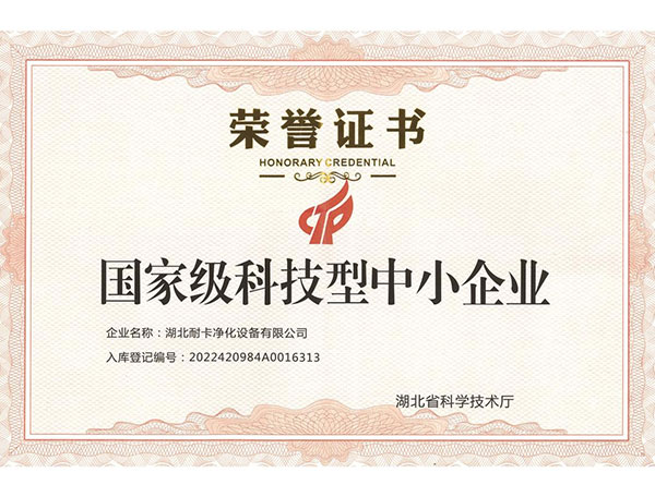  国家级科技型中小企业